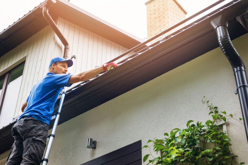 Gutter Maintenance in Madison